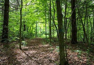 Beaver Meadow Conservation Area